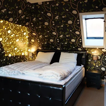 酒店 Brolokke Herregard *